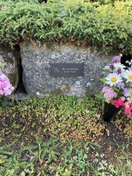 Grave number: TN AL 4    13