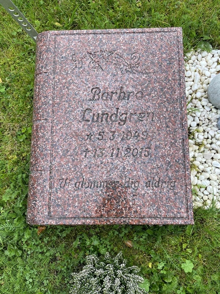 Grave number: MV II    49