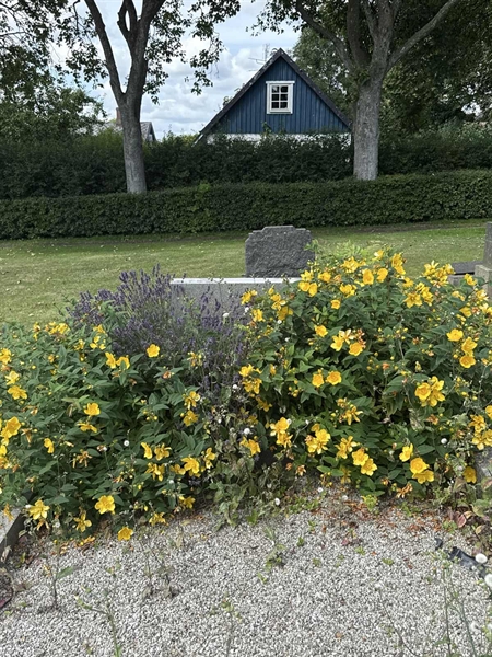 Grave number: ON D   191, 192
