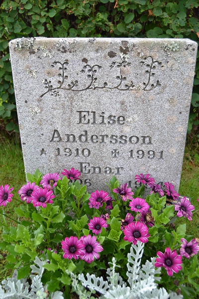 Grave number: 12 2   194-195