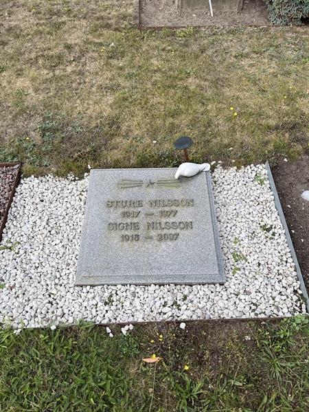 Hautatunnus: NK XVI:u    64