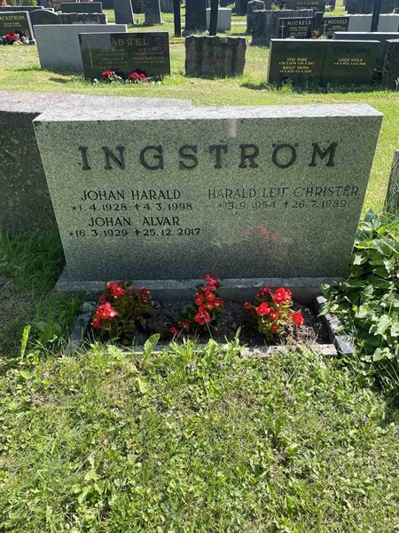 Gravnummer: N 5 2   266c