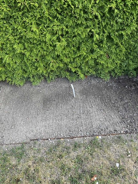 Grave number: NK Urn XVII    15