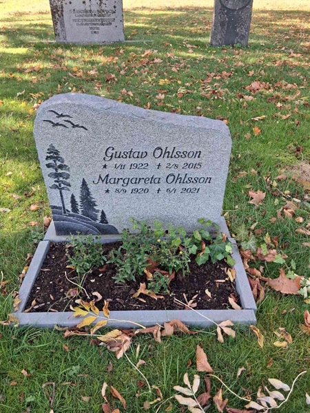 Grave number: SRG 2   224
