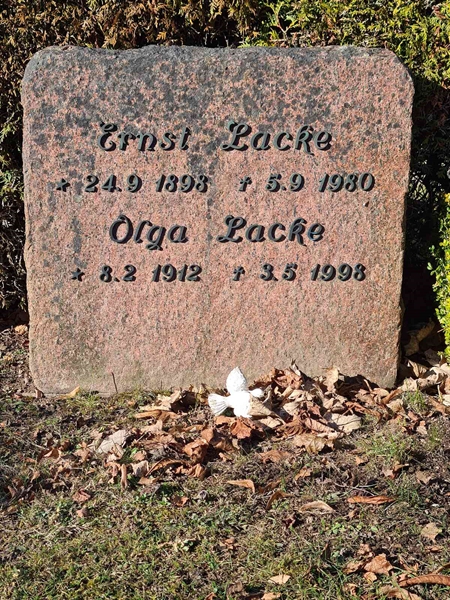 Hautatunnus: Ä N G 12