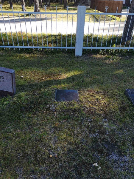 Hautatunnus: VLM 02     4:1