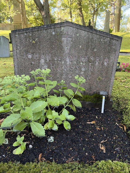 Hautatunnus: 1 B    51