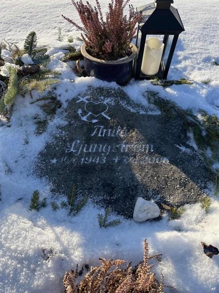 Gravnummer: SJ E    11