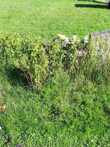 Gravnummer: GK F 5   634EF