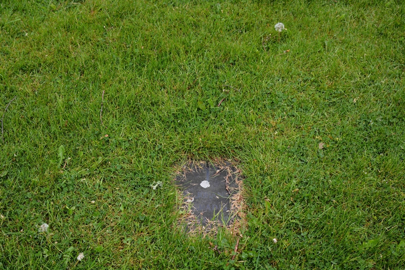 Grave number: SRN 4   308