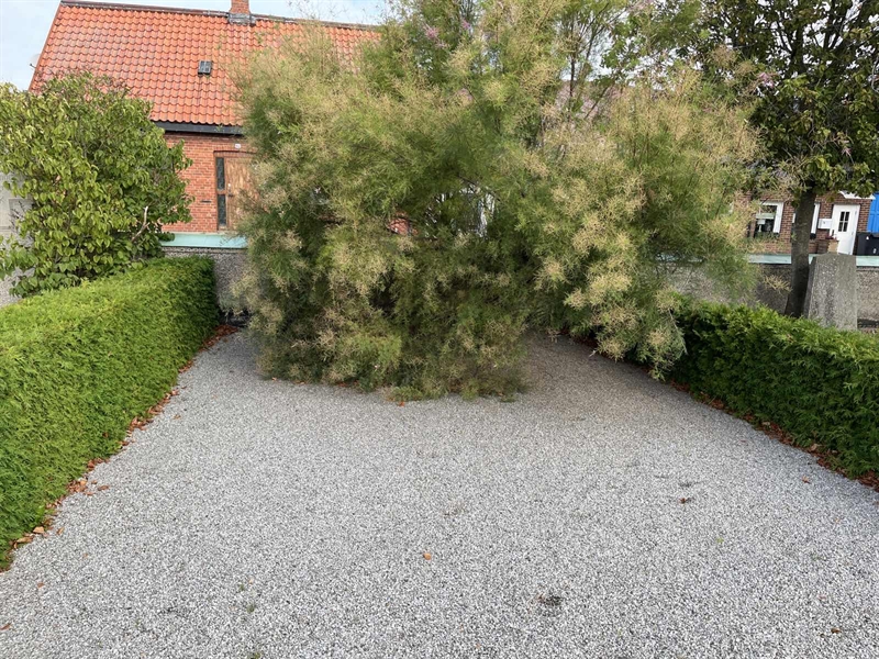 Hautatunnus: VK I    30