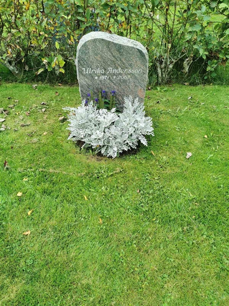 Grave number: F NYA  1651