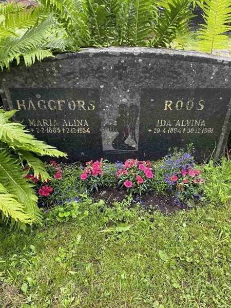 Grave number: N 4 4   669a