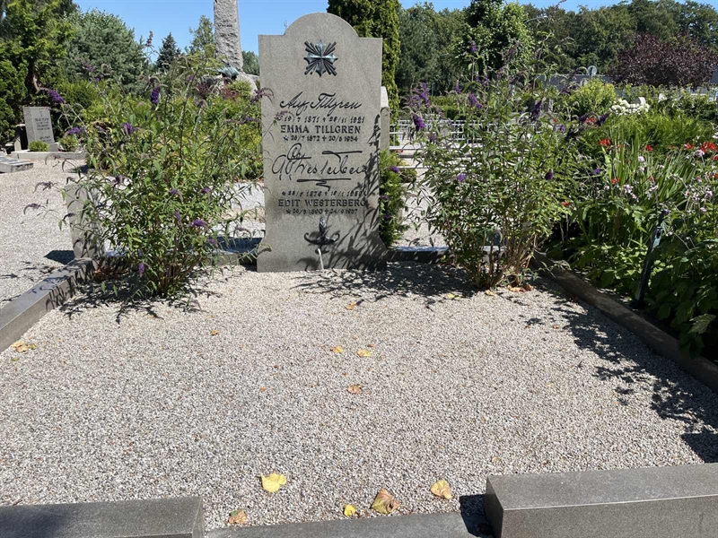 Grave number: NK V   179