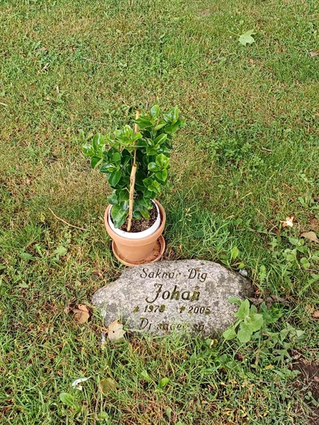 Hautatunnus: OS ÖK U 98