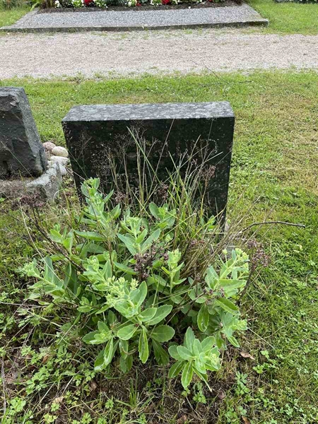 Hautatunnus: N 4 3   444