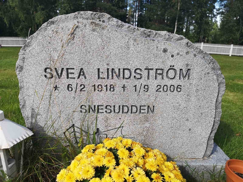 Gravnummer: POK 01    45