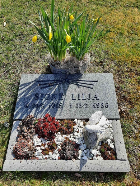 Grave number: VN B   217