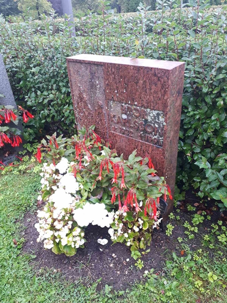 Hautatunnus: NK F D   214