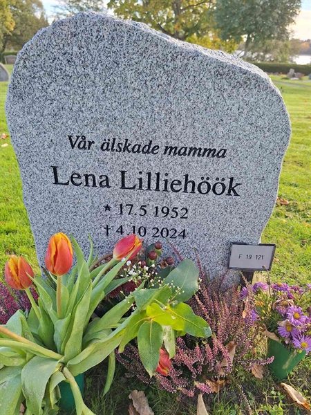 Hautatunnus: F 19   121