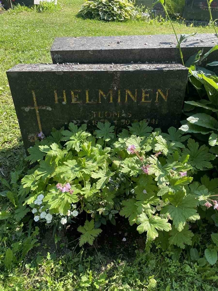 Hautatunnus: N 5 2   261