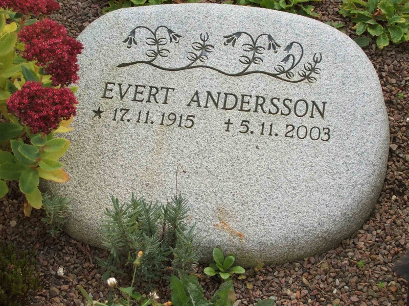 Grave number: KV GAML 08 5