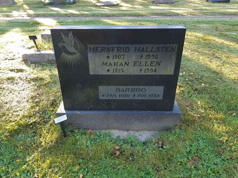 Hautatunnus: Fr 7   313-314