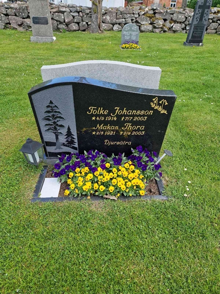 Grave number: 04 A   48, 49