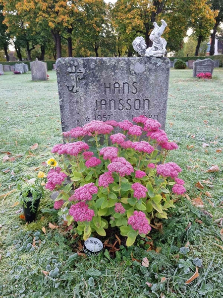 Grave number: 1 13   82