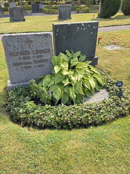Grave number: 33 6   204-205