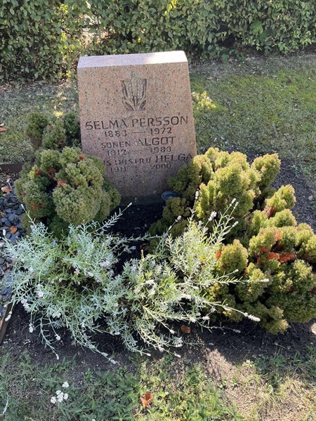 Grave number: NK XV:u     9