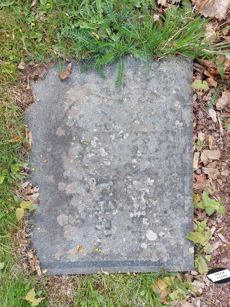 Grave number: 2 BU   011