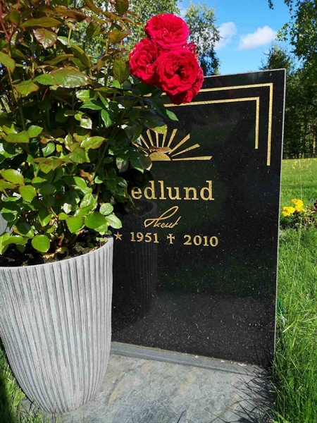 Hautatunnus: NK 19    46-47