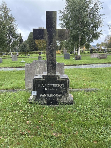 Hautatunnus: 2 06   203