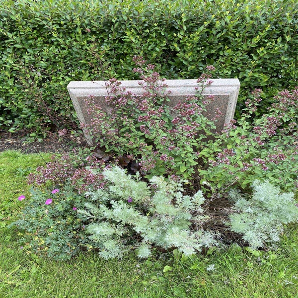 Grave number: 1 NC     5