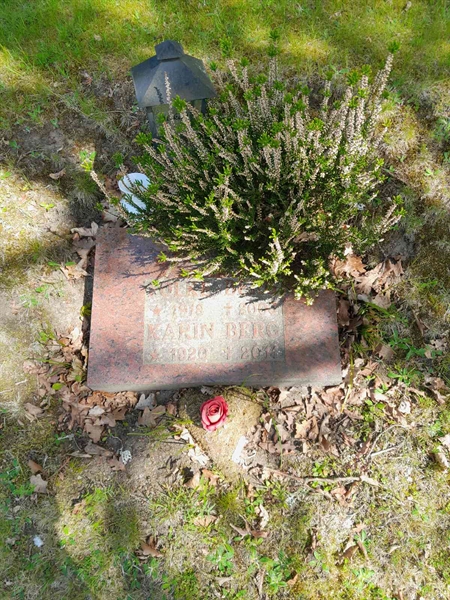 Grave number: 20 R 1