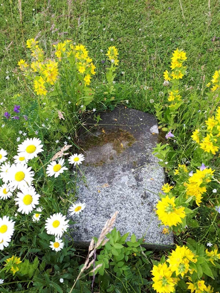 Grave number: GK A 5   167V