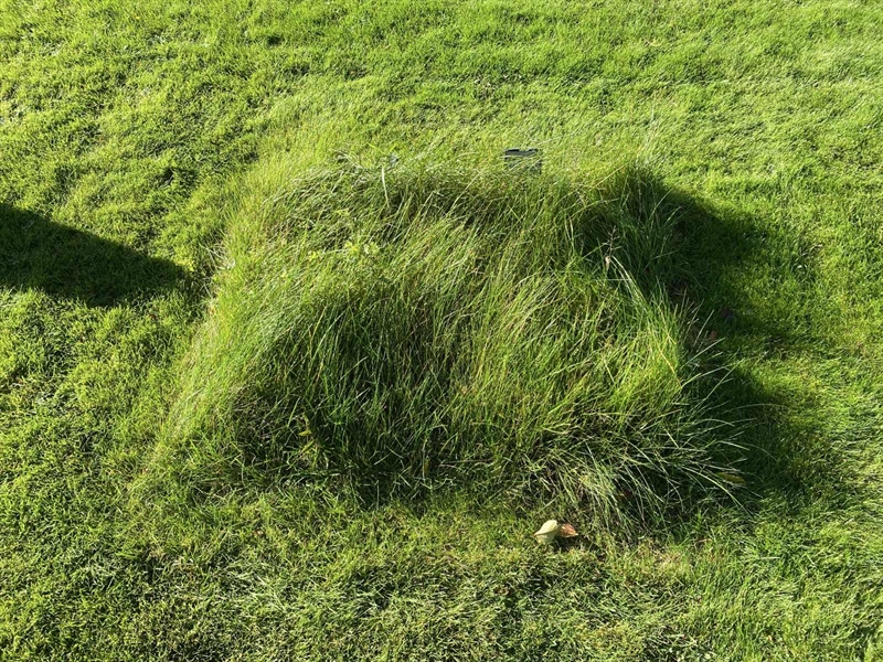 Grave number: 2 H   111