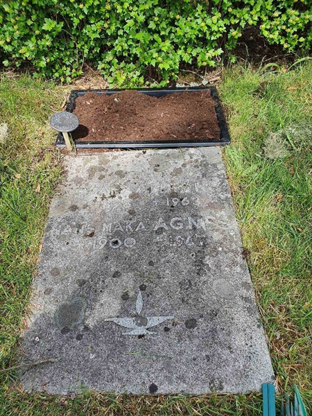 Grave number: 1 NH   196
