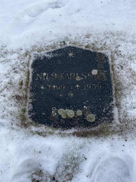 Gravnummer: SJ D    50