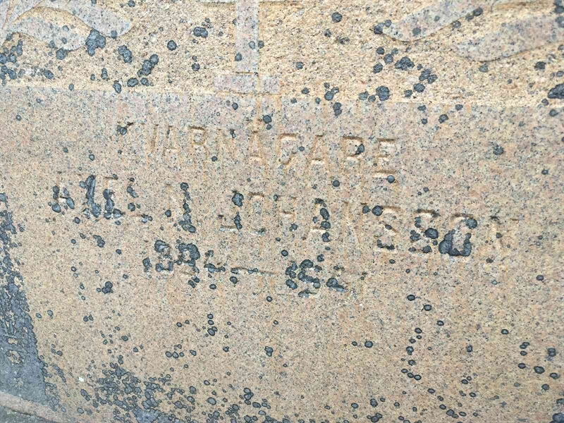 Grave number: TÖ 5   309