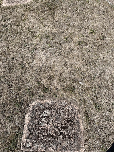 Grave number: NK I:u   443