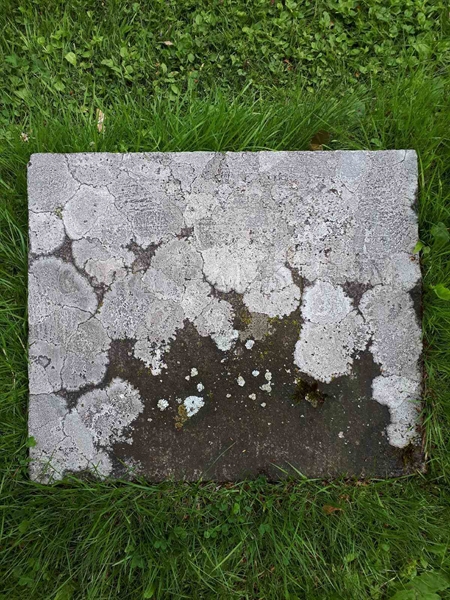 Hautatunnus: GK A 4    59H