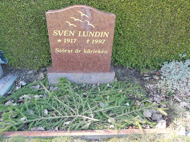 Grave number: V 41   250d