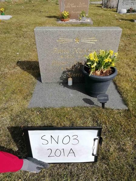 Grave number: SN 03   201