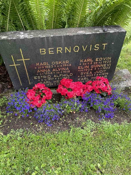 Gravnummer: N 4 4   493