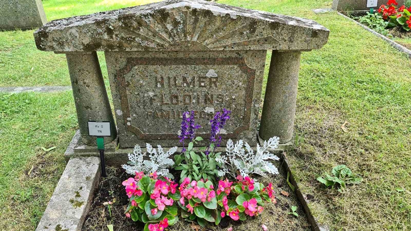 Grave number: M S  116