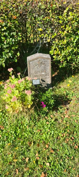 Grave number: M C  110