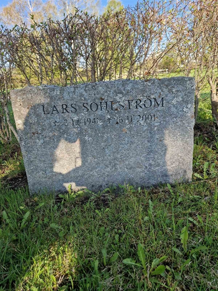 Grave number: 501 13 1955