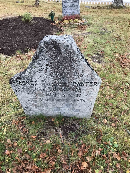 Grave number: VA B    33